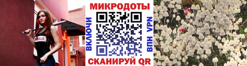 Галлюциногенные грибы мухоморы Циолковский
